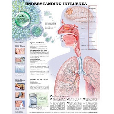 Understanding Influenza Cover Image