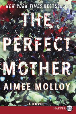 The Perfect Mother: A Novel Cover Image