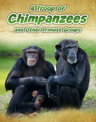 A Troop of Chimpanzees: And Other Primate Groups (Animals in Groups) By Richard Spilsbury Cover Image