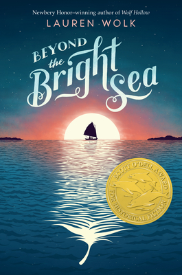 Cover Image for Beyond the Bright Sea