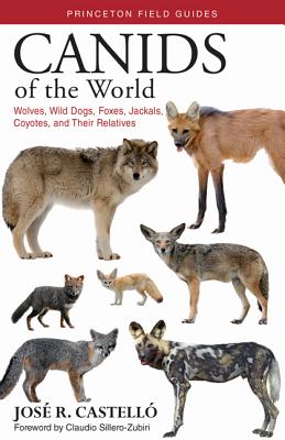 Canids of the World: Wolves, Wild Dogs, Foxes, Jackals, Coyotes, and Their Relatives (Princeton Field Guides #116)