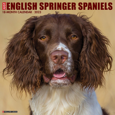 Just English Springer Spaniels 2023 Wall Calendar By Willow Creek Press Cover Image