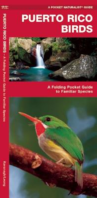 Puerto Rico Birds: A Folding Pocket Guide to Familiar Species (Pocket Naturalist Guide) By James Kavanagh, Waterford Press, Raymond Leung (Illustrator) Cover Image