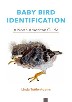 Baby Bird Identification: A North American Guide By Linda Tuttle-Adams, Rebecca S. Duerr (Foreword by) Cover Image