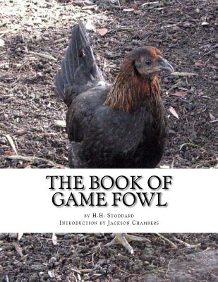 The Book of Game Fowl: Chicken Breeds Book 47 By Jackson Chambers (Introduction by), H. H. Stoddard Cover Image