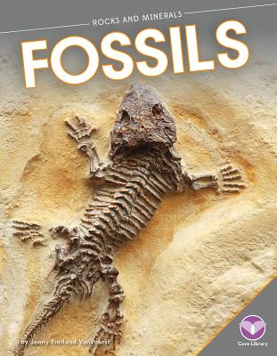 Fossils (Rocks and Minerals) Cover Image