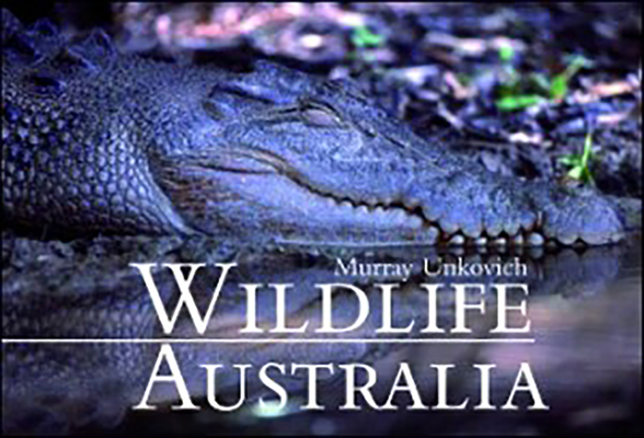 Wildlife Australia Cover