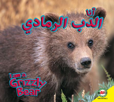 Grizzly Bear: Arabic-English Bilingual Edition (I Am) Cover Image