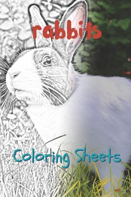 Rabbit Coloring Sheets: 30 Rabbit Drawings, Coloring Sheets Adults Relaxation, Coloring Book for Kids, for Girls, Volume 5 By Julian Smith Cover Image