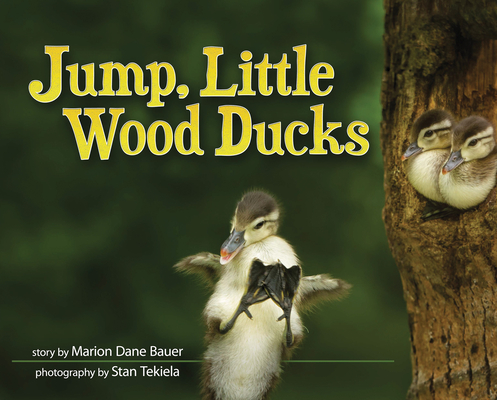 Jump, Little Wood Ducks (Wildlife Picture Books) Cover Image