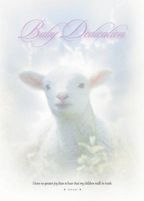 Baby Dedication Certificate (Pk of 6) - 5x7 Folded, Premium, Full Color (Judaic Studies) Cover Image