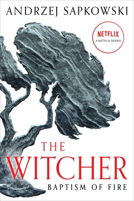 Baptism of Fire (The Witcher #5) Cover Image