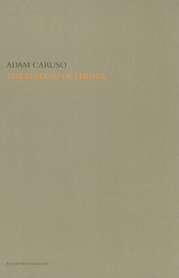 The Feeling of Things by Adam Caruso By Adam Caruso (Text by (Art/Photo Books)) Cover Image