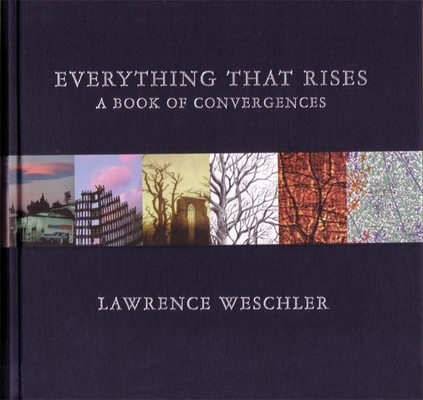 Cover for Everything That Rises