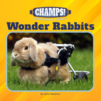 Wonder Rabbits Cover Image