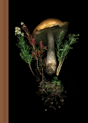Deep Dark Forest Mushroom Journal By Julya Hajnoczky Cover Image
