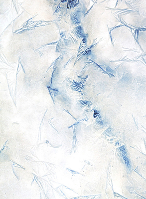 Meghann Riepenhoff: Ice By Meghann Riepenhoff (Artist), Rebecca Solnit (Text by (Art/Photo Books)) Cover Image