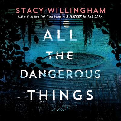 All the Dangerous Things: A Novel Cover Image