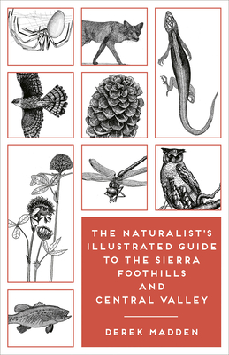 The Naturalist's Illustrated Guide to the Sierra Foothills and Central Valley Cover Image