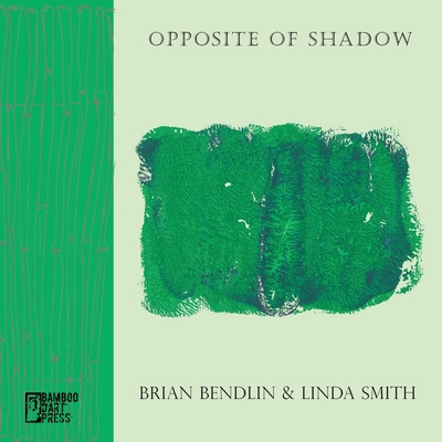 Opposite of Shadow By Brian Bendlin, Linda Smith (Artist) Cover Image