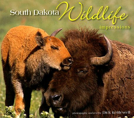 South Dakota Wildlife Impressions By Dick Kettlewell (Photographer) Cover Image