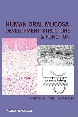 Human Oral Mucosa: Development, Structure, and Function Cover Image