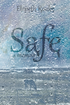 Cover for Safe