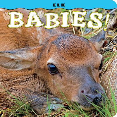 Elk Babies! (Babies! (Farcountry Press)) Cover Image