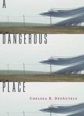 A Dangerous Place