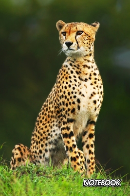 Notebook: Cheetah - Acinonyx jubatus - Composition Book 150 pages 6 x 9 in. - 5x5mm Graph Paper - Writing Notebook - Grid Paper By Notebooks Journals Xlpress Cover Image