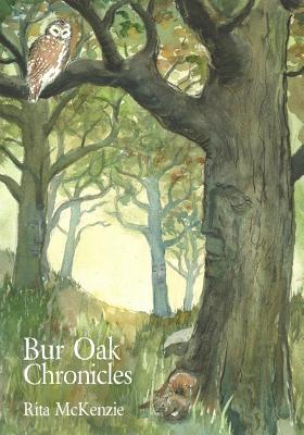 Bur Oak Chronicles By Kristin Calhoun (Illustrator), Rita McKenzie Cover Image