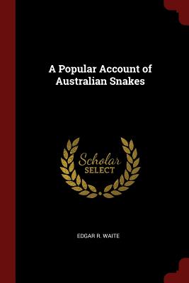 A Popular Account of Australian Snakes By Edgar R. Waite Cover Image
