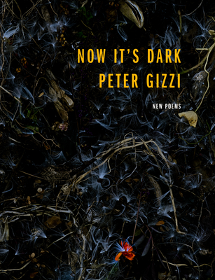 Now It's Dark (Wesleyan Poetry) By Peter Gizzi Cover Image
