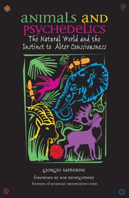 Animals and Psychedelics: The Natural World and the Instinct to Alter Consciousness By Giorgio Samorini, Rob Montgomery (Foreword by) Cover Image