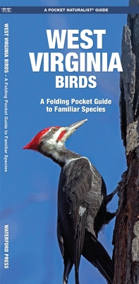 West Virginia Birds: An Introduction to Familiar Species (Wildlife and Nature Identification)