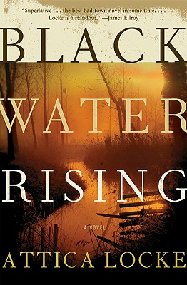 Cover Image for Black Water Rising: A Novel