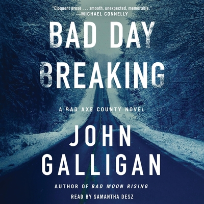 Cover for Bad Day Breaking