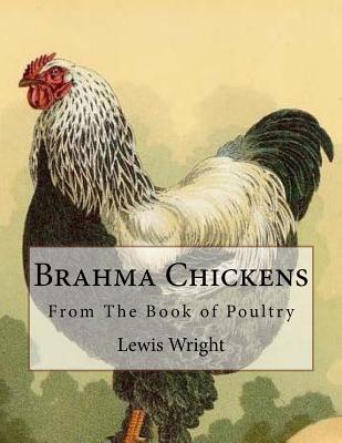 Brahma Chickens: From The Book of Poultry By Jackson Chambers (Introduction by), Lewis Wright Cover Image