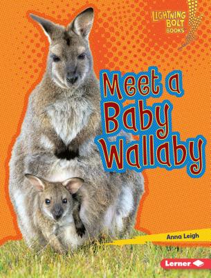 Meet a Baby Wallaby By Anna Leigh Cover Image
