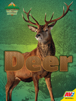 Deer (Backyard Animals) Cover Image