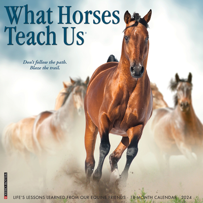 What Horses Teach Us 2024 12 X 12 Wall Calendar Cover Image