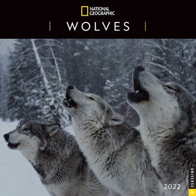National Geographic: Wolves 2022 Wall Calendar By National Geographic Cover Image
