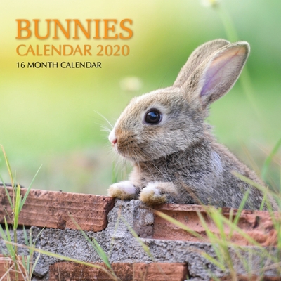 Bunnies Calendar 2020: 16 Month Calendar