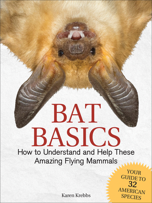 Bat Basics: How to Understand and Help These Amazing Flying Mammals Cover Image