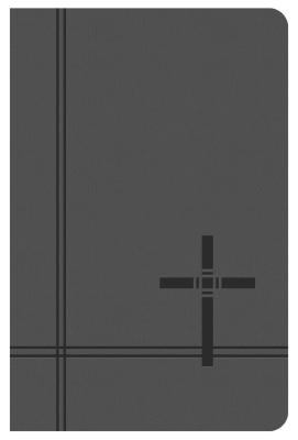 KJV Deluxe Gift & Award Bible (Gray) (King James Bible) By Barbour Publishing Cover Image