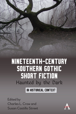 Nineteenth-Century Southern Gothic Short Fiction: Haunted by the Dark By Charles L. Crow (Editor), Susan Castillo Street (Editor) Cover Image