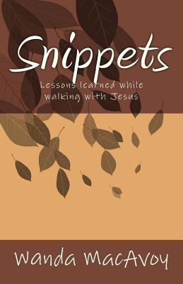 Snippets: Lessons Learned from a Walk with Jesus (Blog Posts #1)
