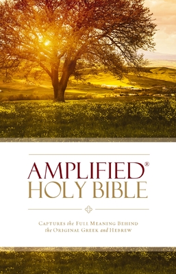 Amplified Bible-Am: Captures the Full Meaning Behind the Original Greek and Hebrew By Zondervan Cover Image