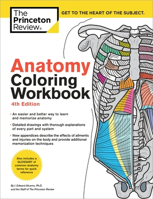 Cover for Anatomy Coloring Workbook, 4th Edition