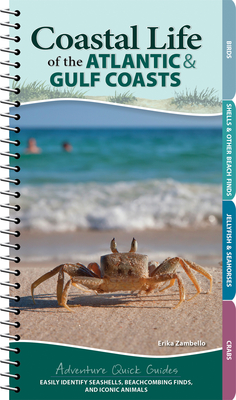 Coastal Life of the Atlantic and Gulf Coasts: Easily Identify Seashells, Beachcombing Finds, and Iconic Animals (Adventure Quick Guides)